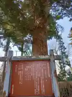 大宮神社(岩手県)