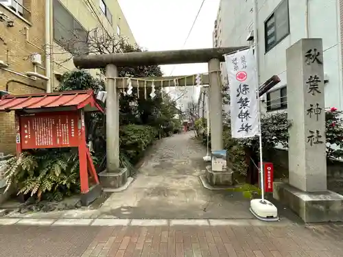 秋葉神社の鳥居