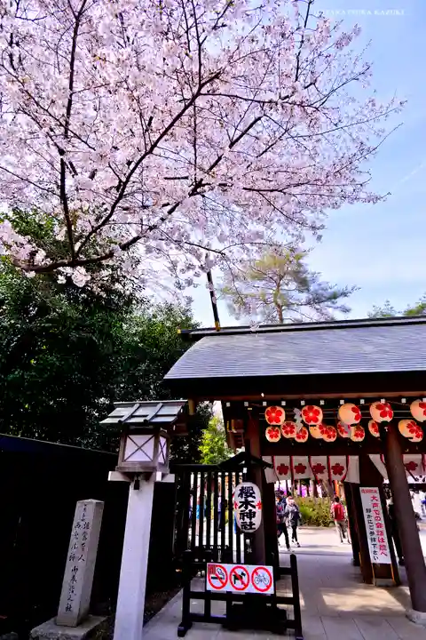櫻木神社の山門・神門