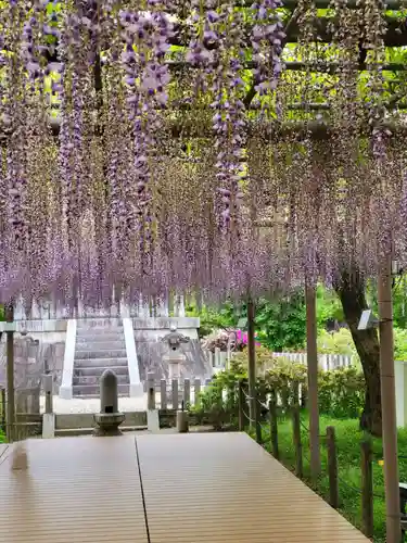 曼陀羅寺の庭園