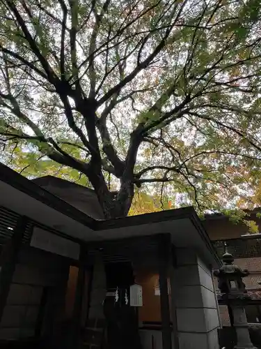 乃木神社(東京都)