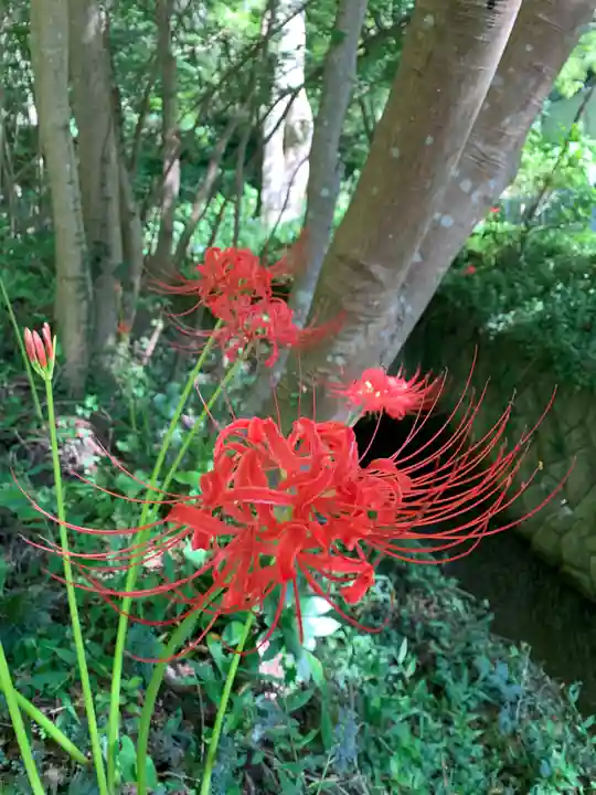 普門寺(切り絵御朱印発祥の寺)(愛知県)