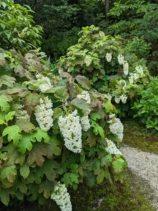 法金剛院(京都府)
