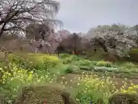 高蔵寺(東京都)