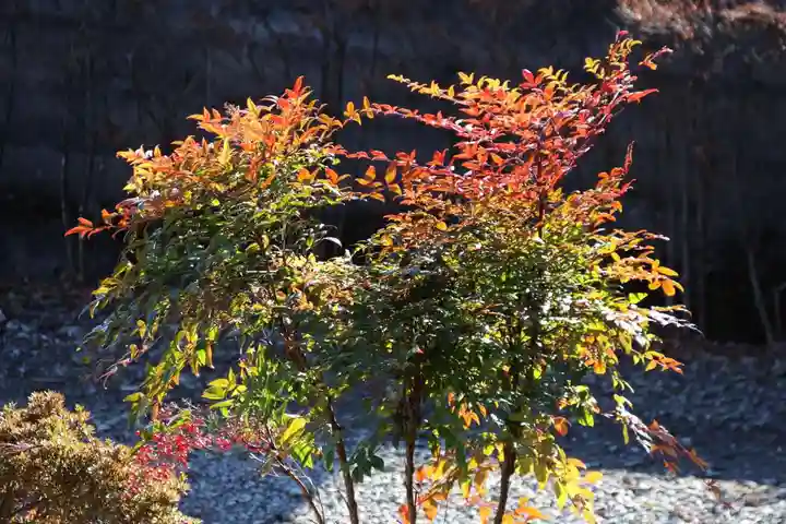 隠津島神社の庭園