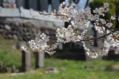 国宝 大法寺(長野県)