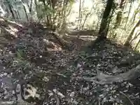 金比羅神社の周辺