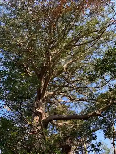 六所神社の自然