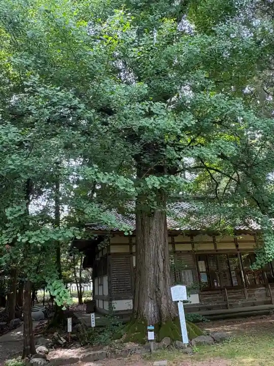 若狭姫神社(若狭彦神社下社)(福井県)