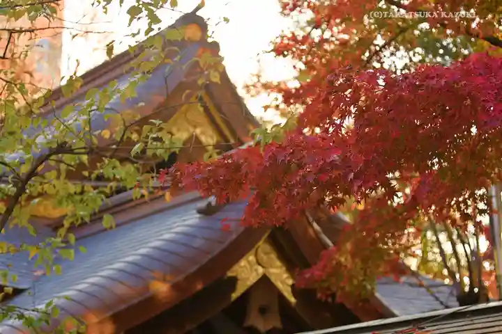 愛宕神社のその他建物