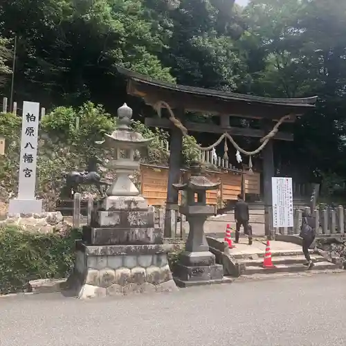 柏原八幡宮の鳥居