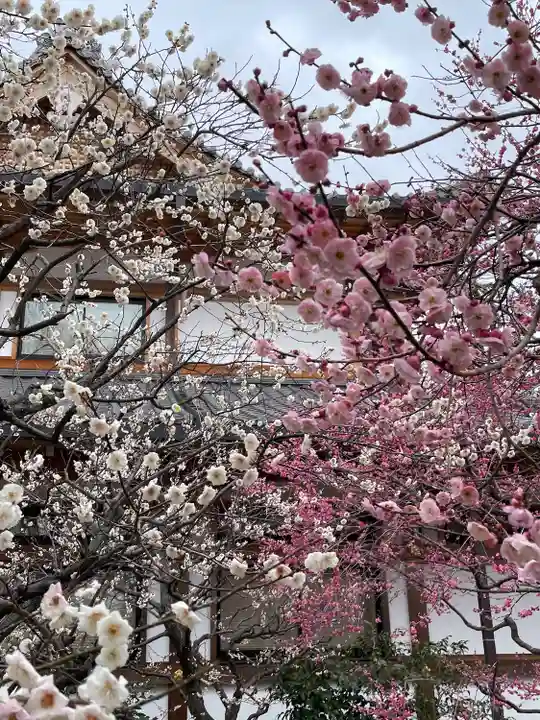 北野天満宮の自然