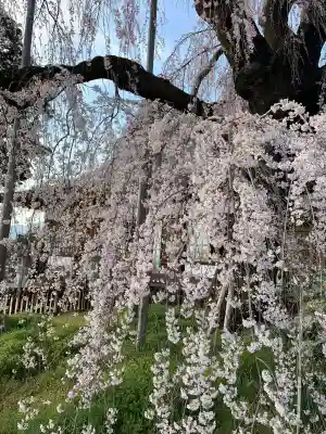 慈雲寺(山梨県)