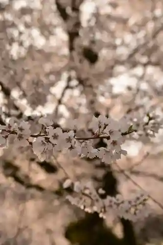 掌禅寺(愛媛県)