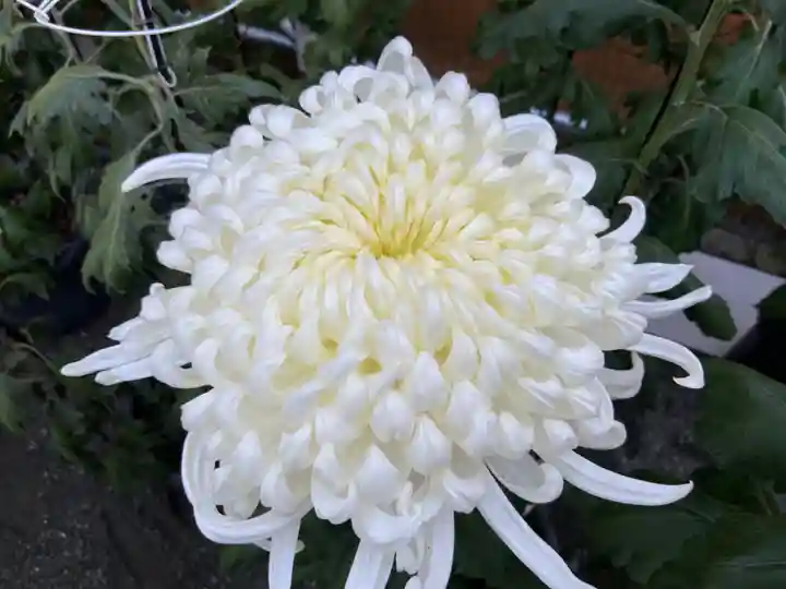 比々多神社の自然