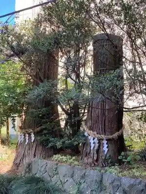 八雲神社(栃木県)