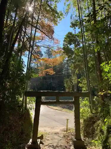 神社（名称不明）の鳥居