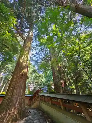 赤城神社(三夜沢町)(群馬県)