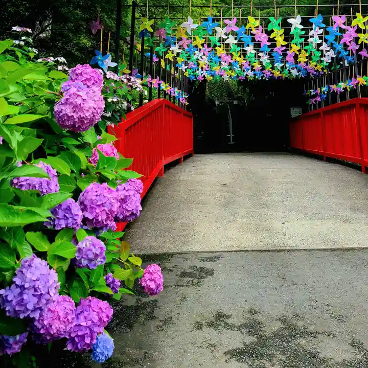 普門寺(切り絵御朱印発祥の寺)(愛知県)