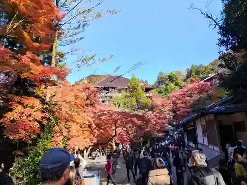 清水寺 音羽の瀧 不動明王(京都府)
