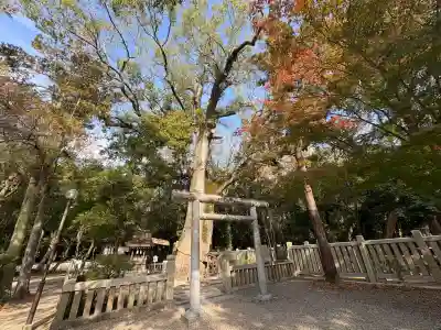 伊弉諾神宮(兵庫県)