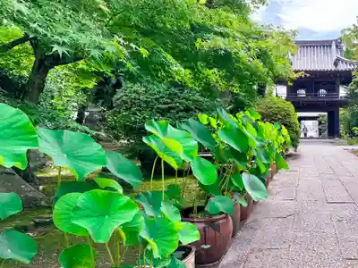 伊勢の国 四天王寺(三重県)