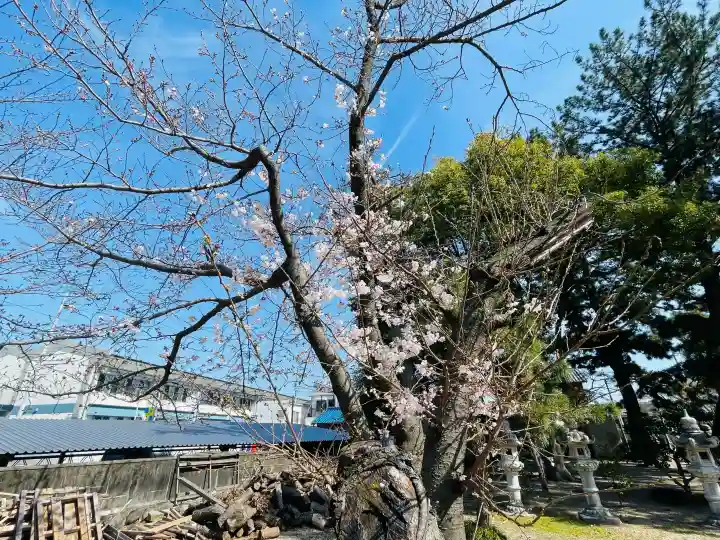 勝速日神社の{uncategorized: "未分類", other: "その他", undefined: "問題あり", building: "その他建物", grave: "お墓", sacred_gate: "鳥居", guardian: "狛犬", statue: "像", buddha: "仏像", history: "歴史", nature: "自然", garden: "庭園", animal: "動物", pagoda: "塔", temizu: "手水舎", mountain_gate: "山門・神門", sanctuary: "本殿・本堂", subordinate: "末社・摂社", art: "芸術", scenery: "景色", jizo: "地蔵", ema: "絵馬", goshuin: "御朱印", omikuji: "おみくじ", items: "授与品その他", amulet: "お守り", goshuincho: "御朱印帳", eats: "食事", festival: "お祭り", votive_dance: "神楽", shichigosan: "七五三参", wedding: "結婚式", experience: "体験その他", initially: "初詣", around: "周辺", anti_infection: "感染症対策"}