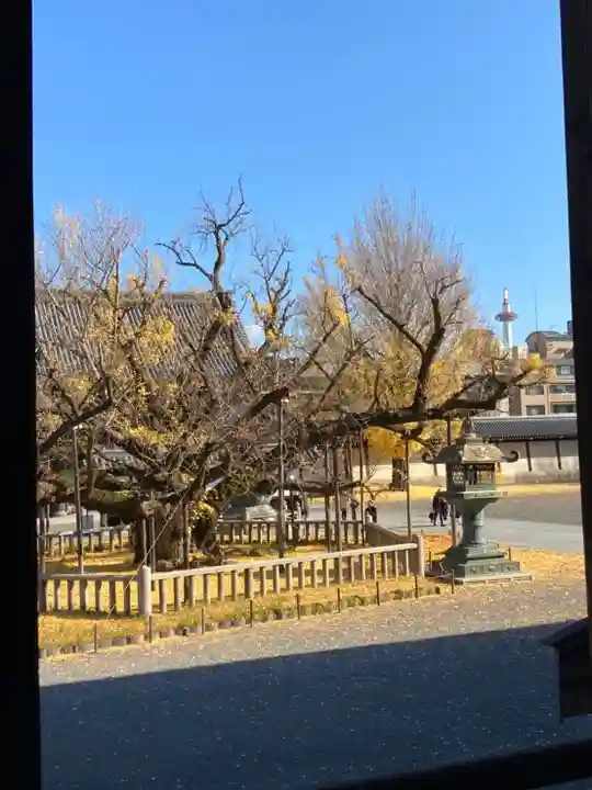 本願寺(西本願寺)の自然