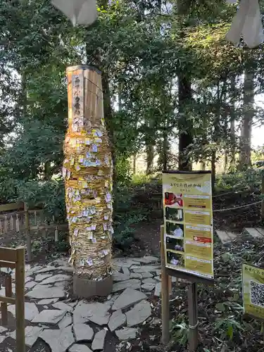 下野 星宮神社の体験その他