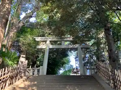 渋谷氷川神社(東京都)