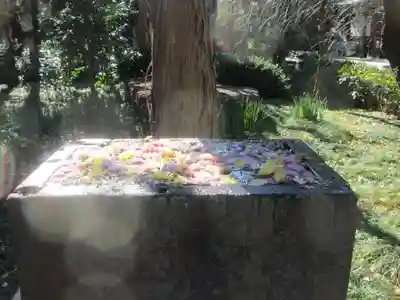 常立寺の手水舎