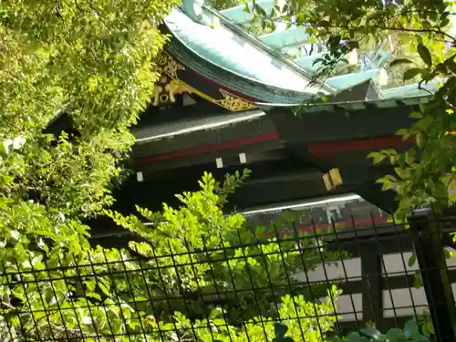 王子神社の本殿・本堂