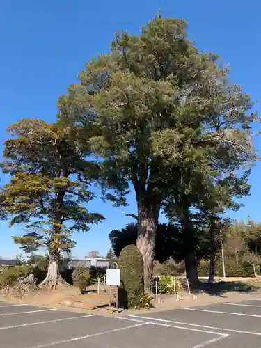 円成寺(千葉県)