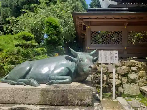 荒神山神社の狛犬