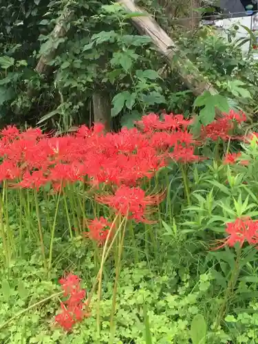 八王子神社の自然