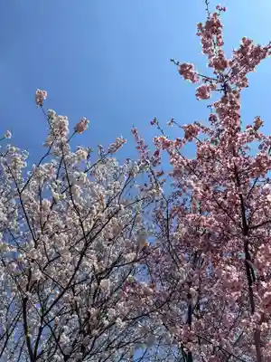 鳥出神社(三重県)
