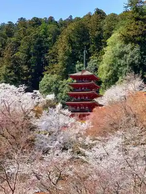 長谷寺の{uncategorized: "未分類", other: "その他", undefined: "問題あり", building: "その他建物", grave: "お墓", sacred_gate: "鳥居", guardian: "狛犬", statue: "像", buddha: "仏像", history: "歴史", nature: "自然", garden: "庭園", animal: "動物", pagoda: "塔", temizu: "手水舎", mountain_gate: "山門・神門", sanctuary: "本殿・本堂", subordinate: "末社・摂社", art: "芸術", scenery: "景色", jizo: "地蔵", ema: "絵馬", goshuin: "御朱印", omikuji: "おみくじ", items: "授与品その他", amulet: "お守り", goshuincho: "御朱印帳", eats: "食事", festival: "お祭り", votive_dance: "神楽", shichigosan: "七五三参", wedding: "結婚式", experience: "体験その他", initially: "初詣", around: "周辺", anti_infection: "感染症対策"}