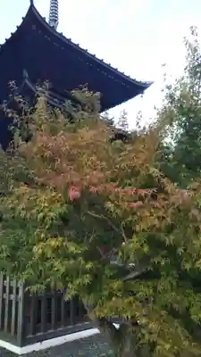 安樂寺の本殿・本堂