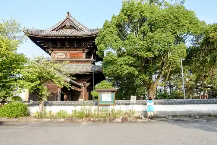 大樹寺(松安院大樹寺)のその他建物