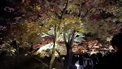 円通院(宮城県)