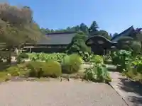 放光寺の本殿・本堂