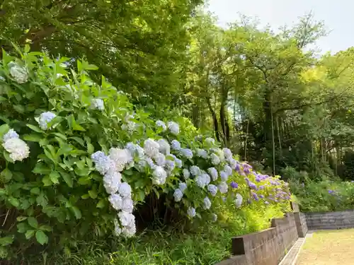 天台宗　長窪山　正覚寺の庭園