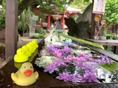 柏諏訪神社の手水舎