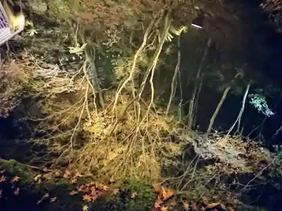 石山寺(滋賀県)