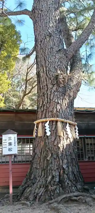 前原御嶽神社の{uncategorized: "未分類", other: "その他", undefined: "問題あり", building: "その他建物", grave: "お墓", sacred_gate: "鳥居", guardian: "狛犬", statue: "像", buddha: "仏像", history: "歴史", nature: "自然", garden: "庭園", animal: "動物", pagoda: "塔", temizu: "手水舎", mountain_gate: "山門・神門", sanctuary: "本殿・本堂", subordinate: "末社・摂社", art: "芸術", scenery: "景色", jizo: "地蔵", ema: "絵馬", goshuin: "御朱印", omikuji: "おみくじ", items: "授与品その他", amulet: "お守り", goshuincho: "御朱印帳", eats: "食事", festival: "お祭り", votive_dance: "神楽", shichigosan: "七五三参", wedding: "結婚式", experience: "体験その他", initially: "初詣", around: "周辺", anti_infection: "感染症対策"}