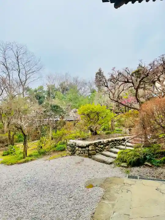 岩之上堂の{uncategorized: "未分類", other: "その他", undefined: "問題あり", building: "その他建物", grave: "お墓", sacred_gate: "鳥居", guardian: "狛犬", statue: "像", buddha: "仏像", history: "歴史", nature: "自然", garden: "庭園", animal: "動物", pagoda: "塔", temizu: "手水舎", mountain_gate: "山門・神門", sanctuary: "本殿・本堂", subordinate: "末社・摂社", art: "芸術", scenery: "景色", jizo: "地蔵", ema: "絵馬", goshuin: "御朱印", omikuji: "おみくじ", items: "授与品その他", amulet: "お守り", goshuincho: "御朱印帳", eats: "食事", festival: "お祭り", votive_dance: "神楽", shichigosan: "七五三参", wedding: "結婚式", experience: "体験その他", initially: "初詣", around: "周辺", anti_infection: "感染症対策"}