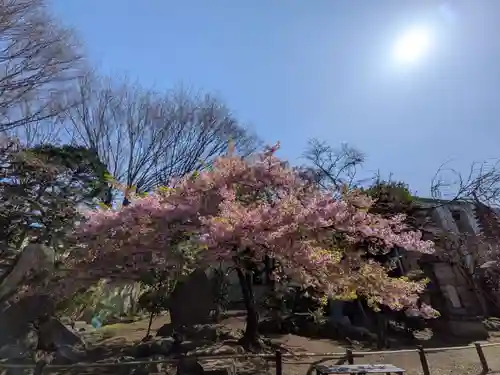 新井薬師（梅照院）(東京都)