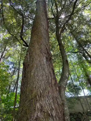 伊勢神宮内宮（皇大神宮）(三重県)