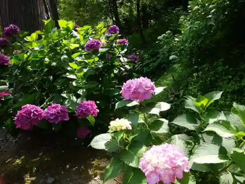 円覚寺(神奈川県)