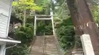 伊野天照皇大神宮の鳥居